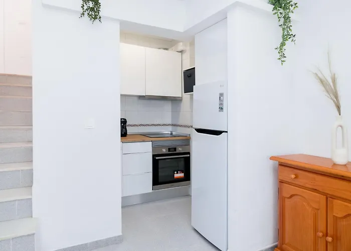 Espanatour Leandros Torrevieja